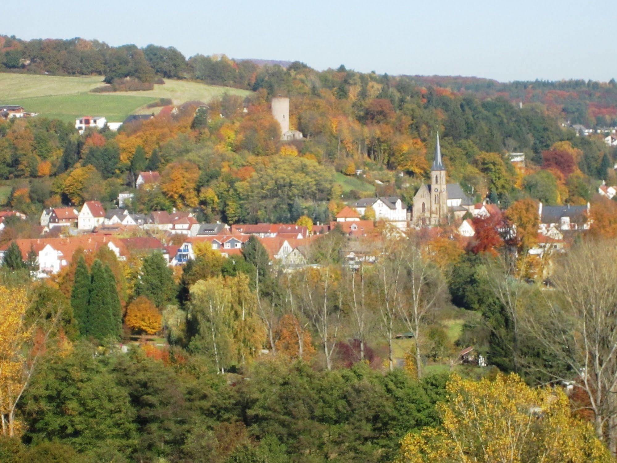 Trip Inn Landhotel Badsoden-Salmuenster Bad Soden-Salmünster エクステリア 写真
